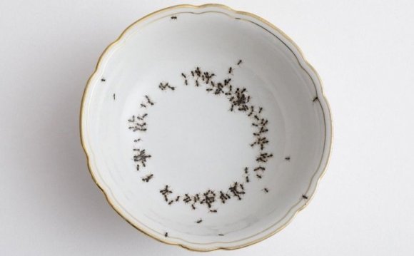 Creepy Porcelain Dishes