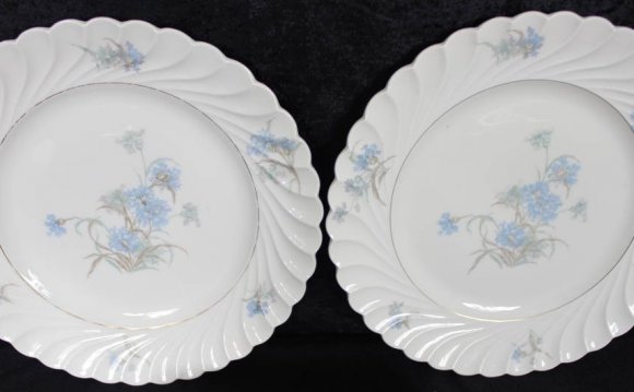 Bone China Dinner Plates