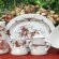 Western style Dinnerware