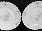 Bone China Dinner Plates