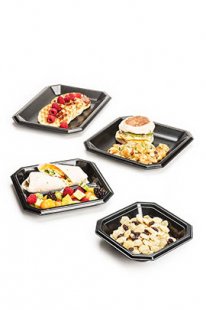 Laminated Foam Dinnerware